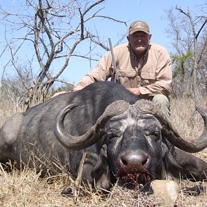 Cape Buffalo Hunt