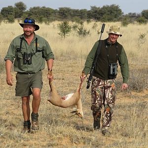 South Africa Steenbok Hunting