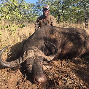 Matetsi Cape Buffalo Hunt Zimbabwe