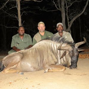 Blue Wildebeest Hunting in Zimbabwe