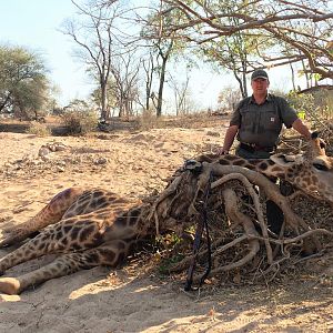 Hunting Giraffe in Zimbabwe