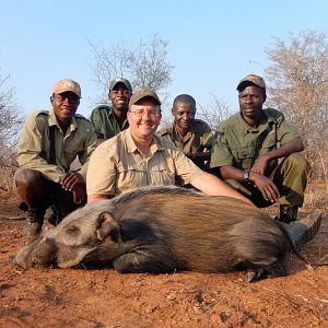 Hunting Bushpig Zimbabwe