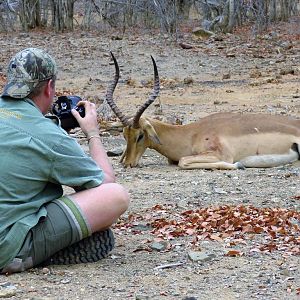 Hunting Zimbabwe Impala