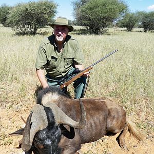Hunting Namibia Black Wildebeest