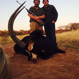 Sable Antelope Hunt South Africa