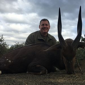 South Africa Hunting Bushbuck