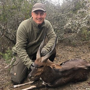 South Africa Hunting Bushbuck