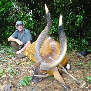 Bongo Hunting Congo