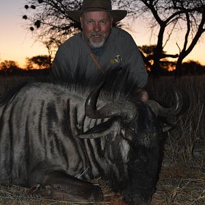 Blue Wildebeest Hunting in Namibia