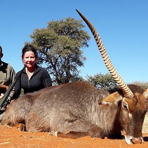 Hunting South Africa Waterbuck