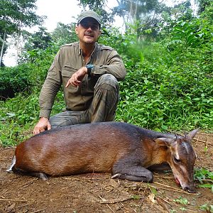 Hunting Congo Bay Duiker