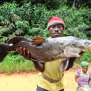 Congo Fishing