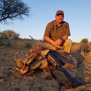 Hunting Warthog in Namibia