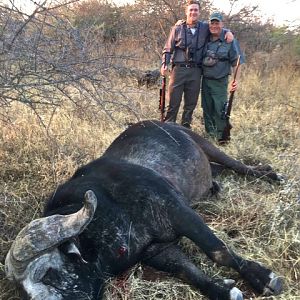 Cape Buffalo Hunt