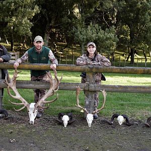 Ample Hunting, NZ