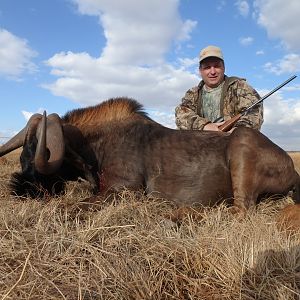 Hunting South Africa Black Wildebeest