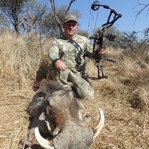 Bow Hunting Warthog in Namibia
