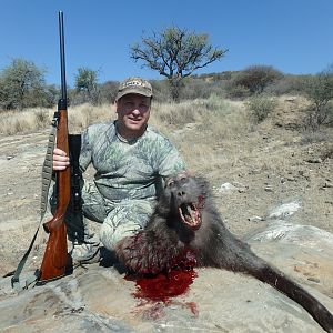 Baboon Namibia Hunting