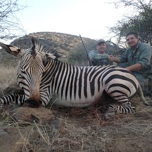 Hunting Hartmann Mountain Zebra Namibia