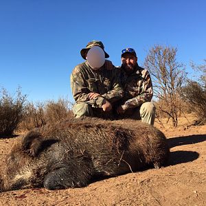 Hunting Boar South Africa