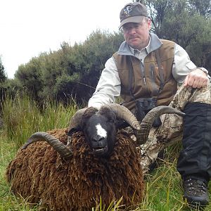 New Zealand March 2017 Leithen Valley