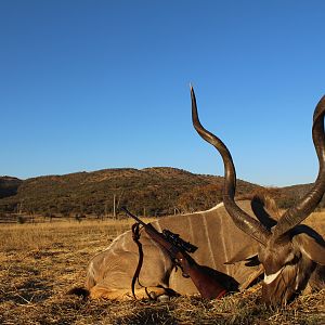 Kudu Hunting