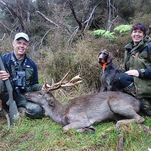 New Zealand Hunting Deer