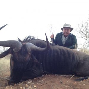 South Africa 30" Inch Blue Wildebeest Hunting