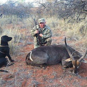 Waterbuck South Africa Hunt