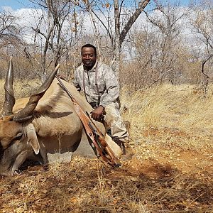 South Africa Hunting Eland