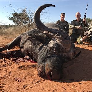 Hunting Cape Buffalo South Africa