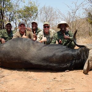 Hunting Buffalo