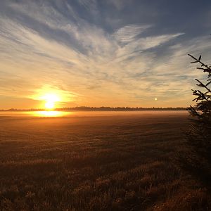 Early morning Denmark