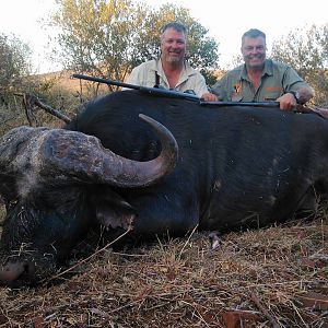 Hunting Buffalo South Africa