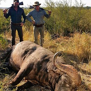 Epic buffalo safari