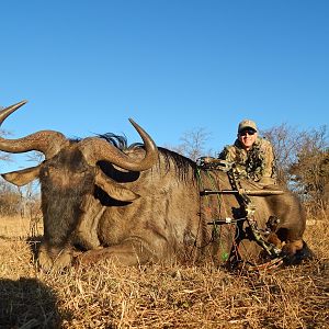 Blue Wildebeest Bow Hunting