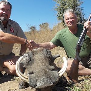 Warthog Zimbabwe Hunt