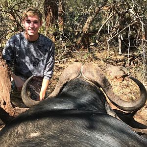 Cape Buffalo Hunt