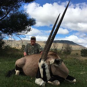 Hunting Gemsbok