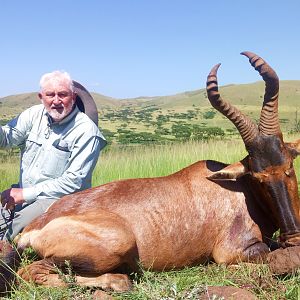 Red Hartebeest Hunt