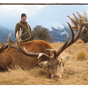 Hunting New Zealand Red Stag