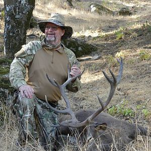 Red Deer Bow Hunt in Spain