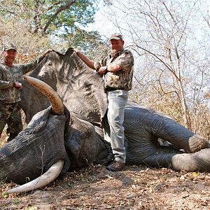 Zambia Bow Hunting Elephant