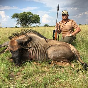 South Africa Blue Wildebeest Hunting