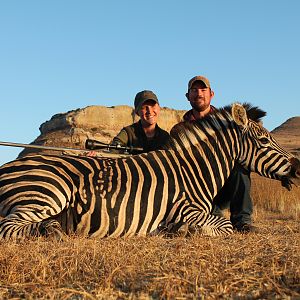 Burchell's Plain Zebra Hunting