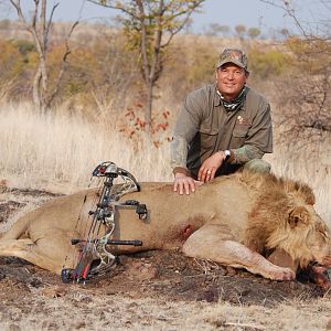 Bow Hunting Lion in Zimbabwe