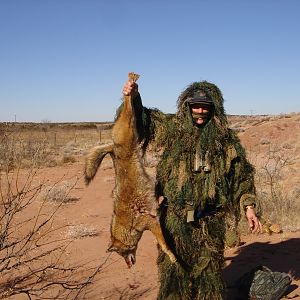 West Texas Coyote Hunting