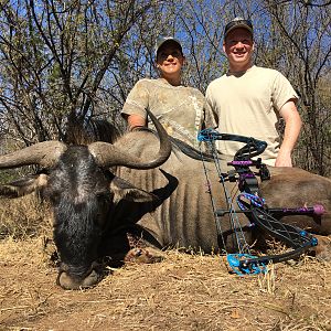South Africa Blue Wildebeest Bow Hunt