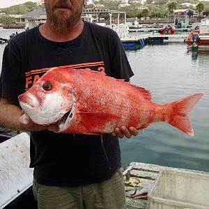Dageraad Fishing South Africa