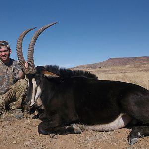 Hunt Sable Antelope South Africa